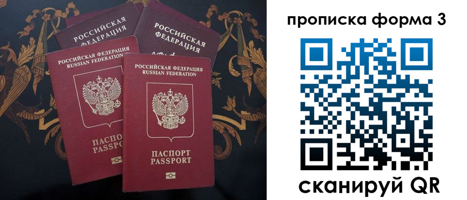 прописка законно в Шумихе